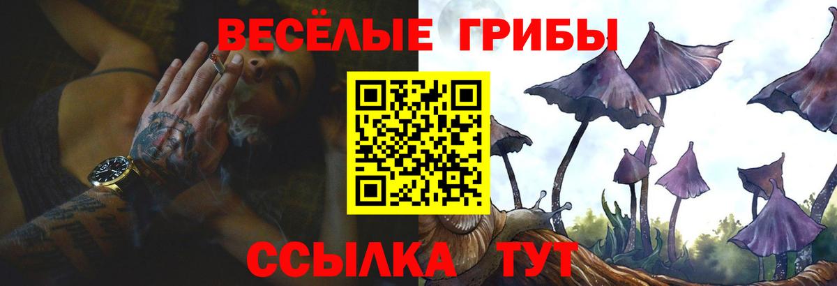 Знаменск  Галлюциногенные грибы Psilocybine cubensis  Вход с VPN  Псилоцибиновые грибы Psilocybine cubensis 